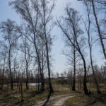 DSC09029