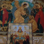 DSC09650